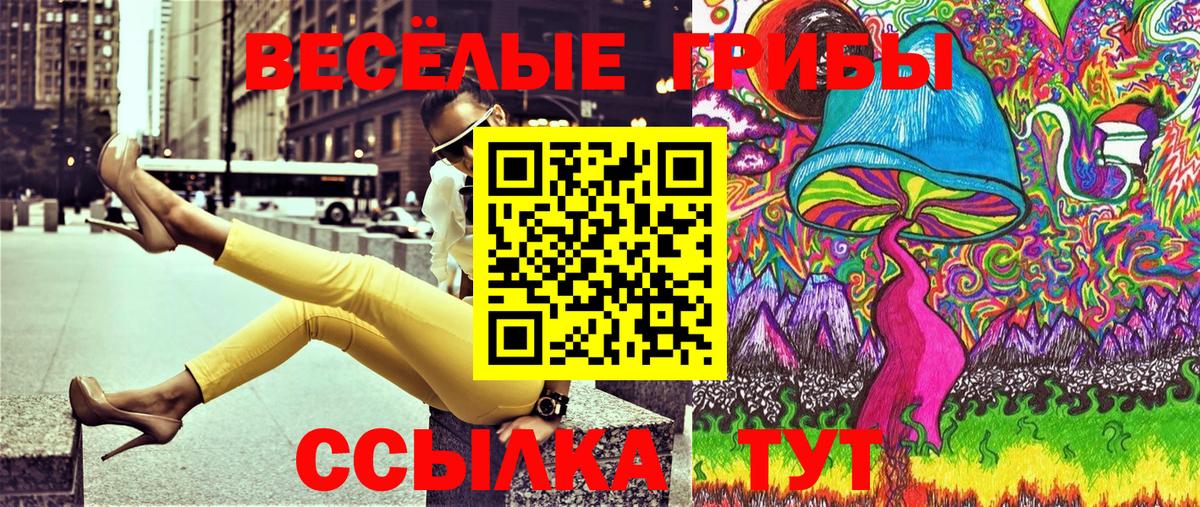 закладка  Галлюциногенные грибы GOLDEN TEACHER  Котлас  Вход с VPN  Псилоцибиновые грибы Magic Shrooms 