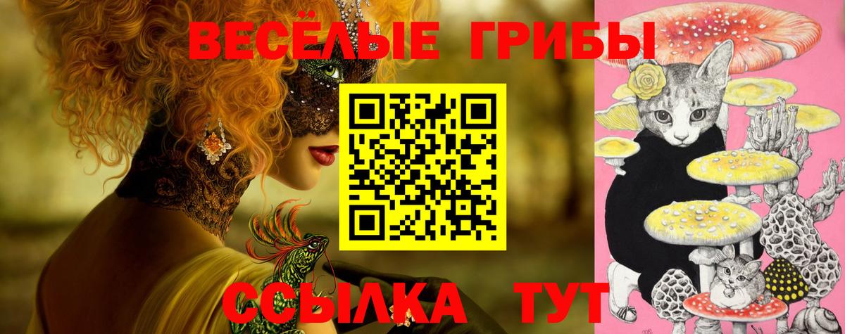Псилоцибиновые грибы прущие грибы Котлас