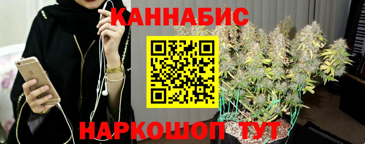 Шишки марихуана Amnesia Котлас
